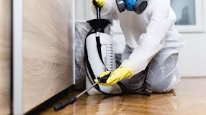 Best Pest Prevention Services  in Quitman, MS